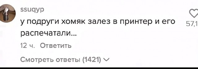 *БАЯН*Когда купил хомяка