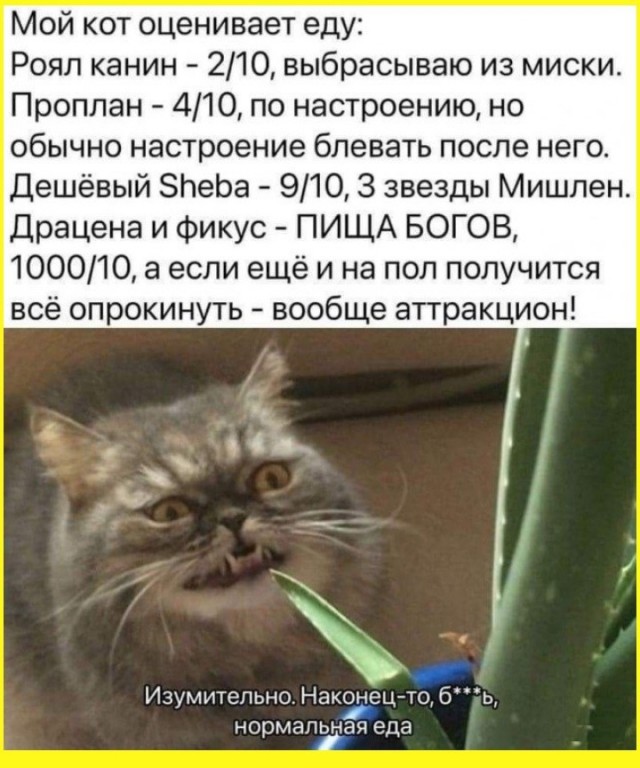 Понедельниковые тРРРидцать тРРРи