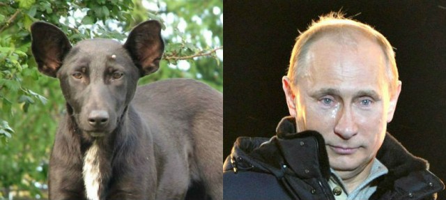 20 актеров, идеально перевоплотившихся