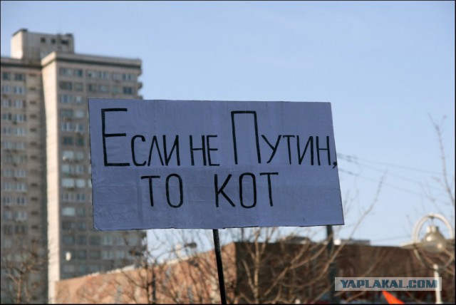 Истерика запада