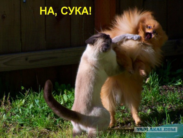 "Как я отомстил секретутке"