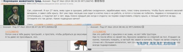 Смешные комментарии из социальных сетей