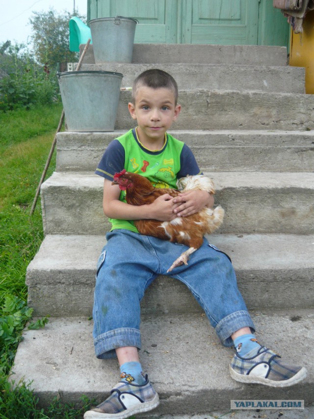 Поездка в Беларусь
