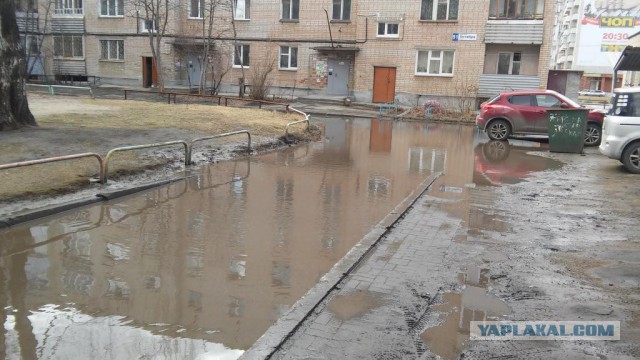 Зачем убирают палую листву?