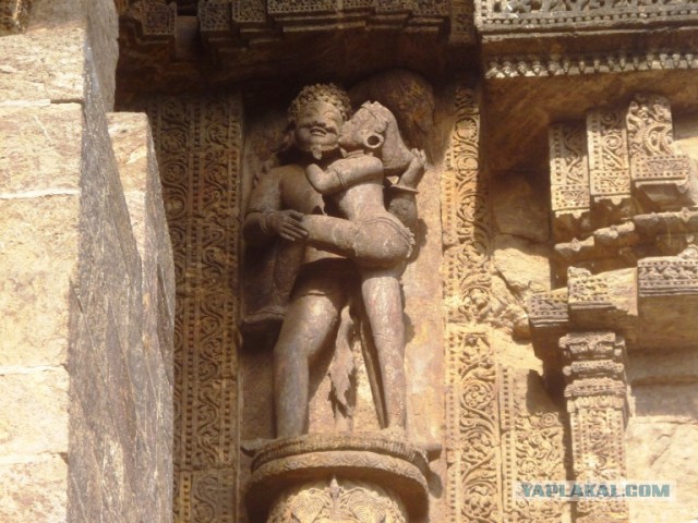 54 дня по Индии