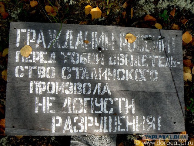 Россия, XXI век. Сталину несут цветы