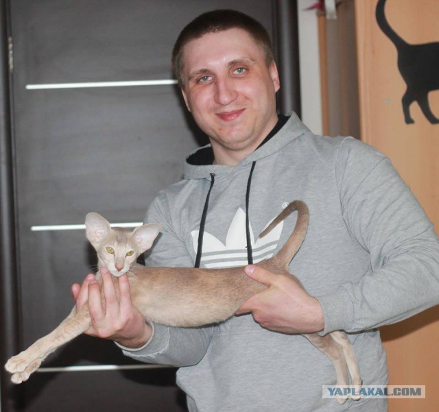 КотоВторник 26.04.2016