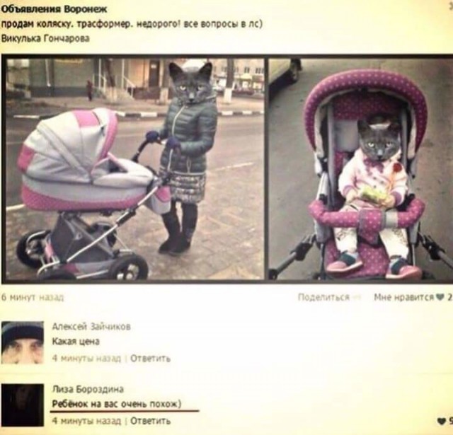 Про кота и вред