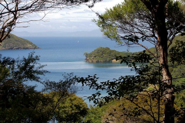 Great Barrier Island. Новая Зеландия.