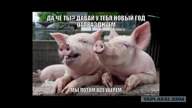 В Совфеде заявили о возможном выходе России из ВТО из-за свинины
