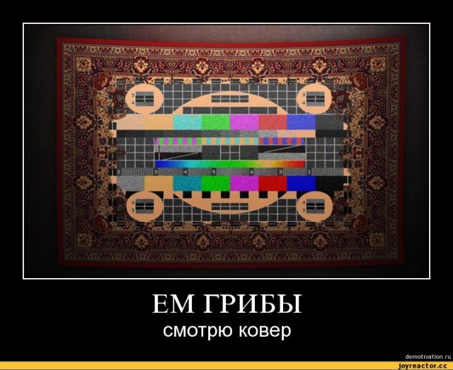 Герман Клименко счел Россию готовой к отключению от мирового интернета