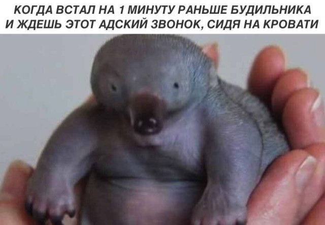 Немного картинок на вечер