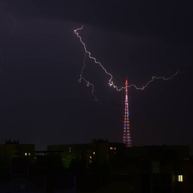 Помогите опознать насекомое. Кажется в Москве проснулись клещи