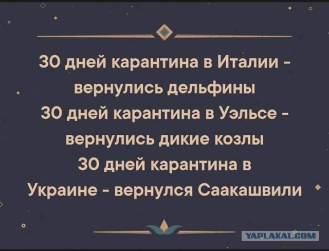 Зеленский предложил Саакашвили должность вице-премьера