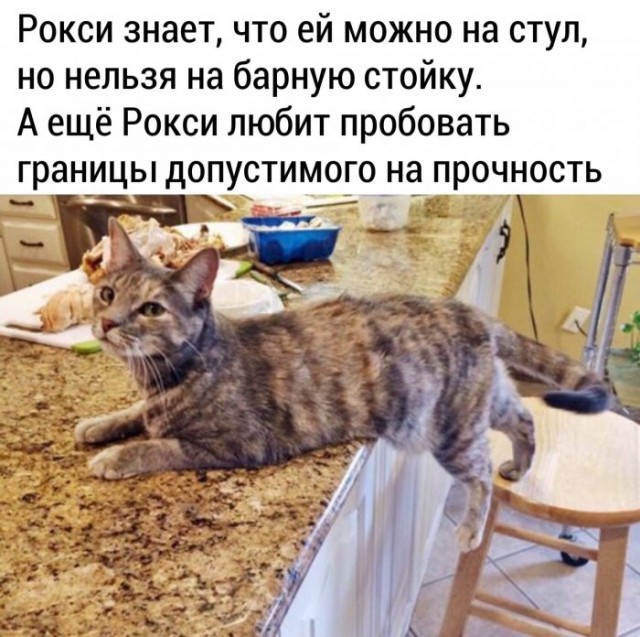 Немного картинок для настроения 24.04.20
