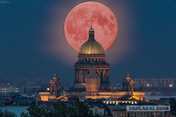 Рабочий завода сознался в расчленении коллеги