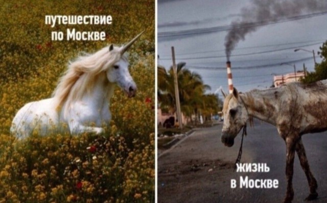 Картинки и мемы для настроения 029