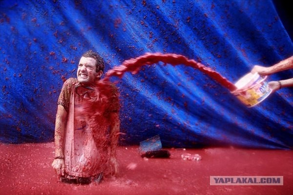 Томатное сражение Ла Томатина