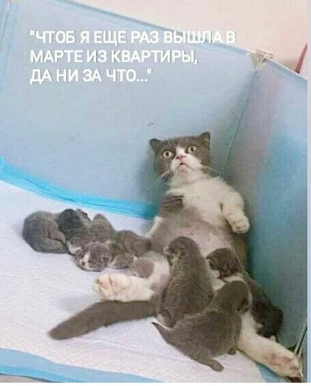 Картинки и мемы для настроения 17.06.2021