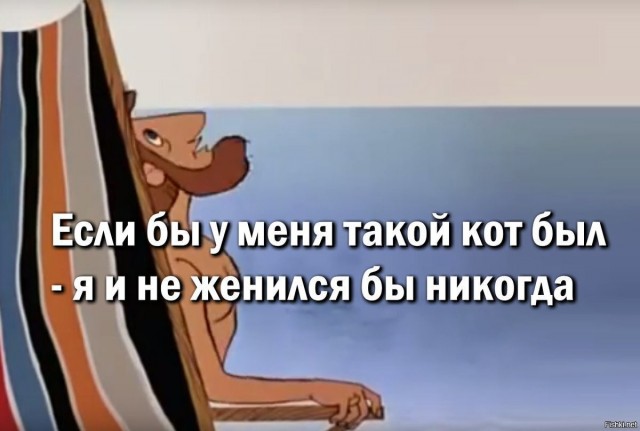 Мы вдвоём с котом песню пропоём....