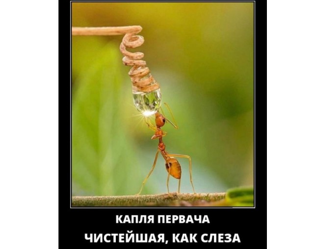 Картинки и мемы 08.10.2021