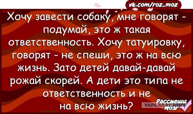 Всё больше российских женщин не торопятся становиться мамами. Рожают и в 30, и в 40 лет