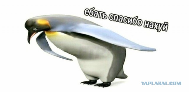 В США города Техаса местный чиновник продемонстрировал поддержку Украине с помощью рэпа