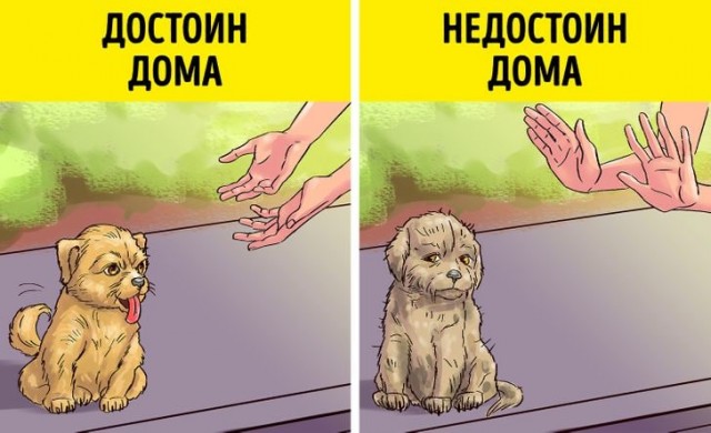 Я тоже попал...