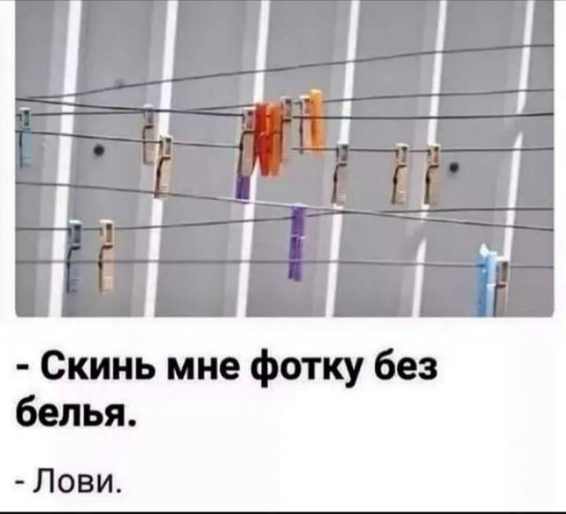 Пятница. Вечер. Картинки всякие #15