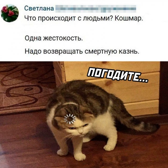 Весёлый полтишок 01.09.22