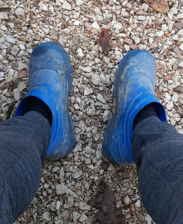 Обувь