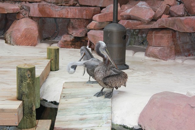 Деревенская Америка