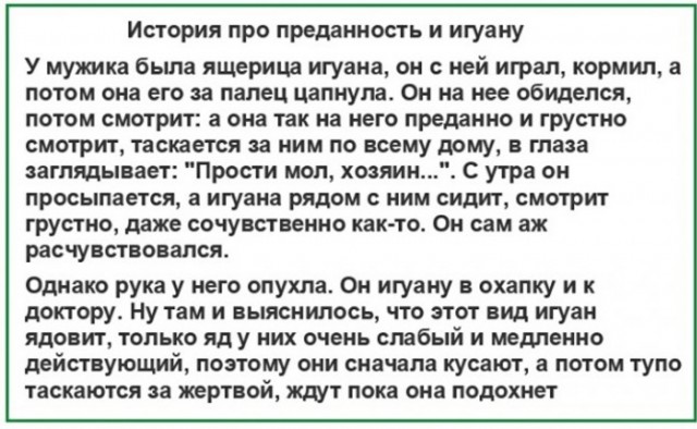 "Ящер напал на человека"