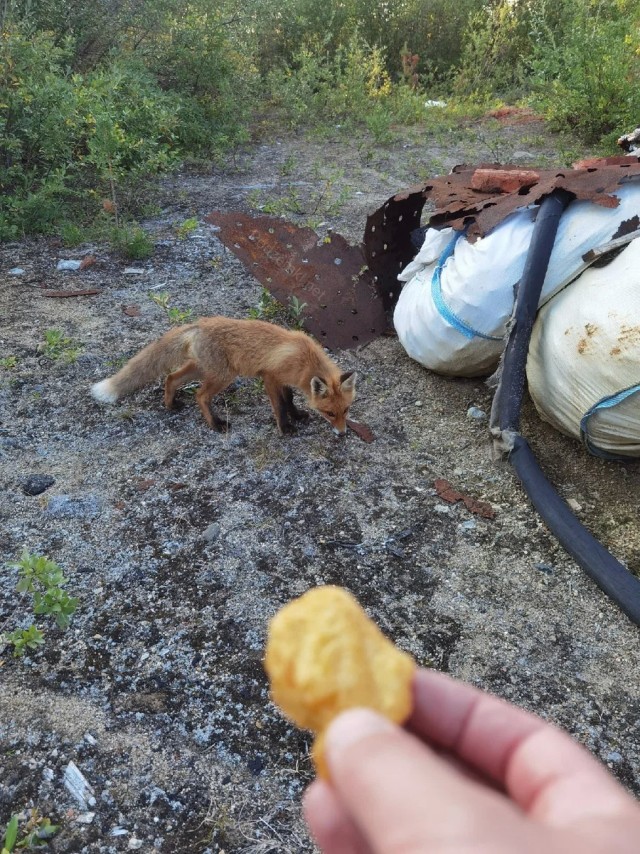 Заброшенный рудник Восточный