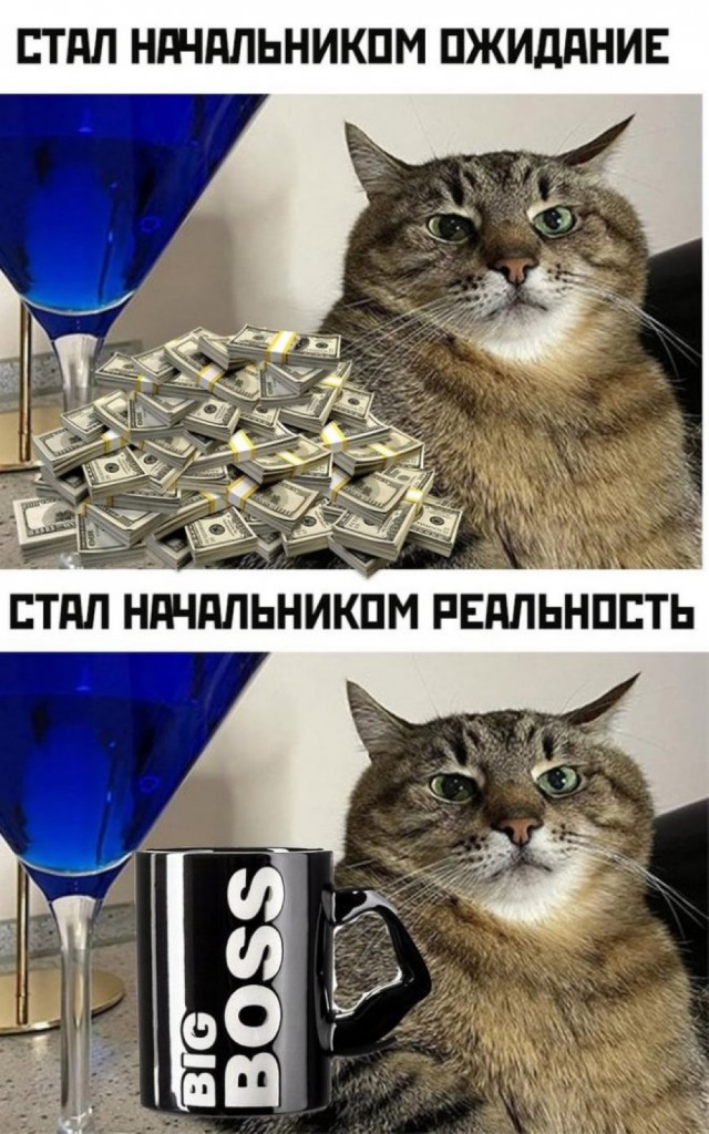 Весёлый полтишок 30.03.23