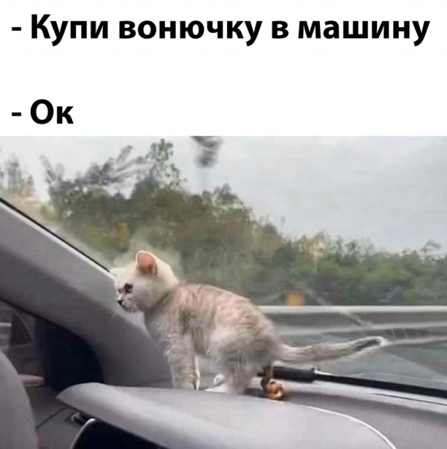 Весёлый полтишок 08.05.23