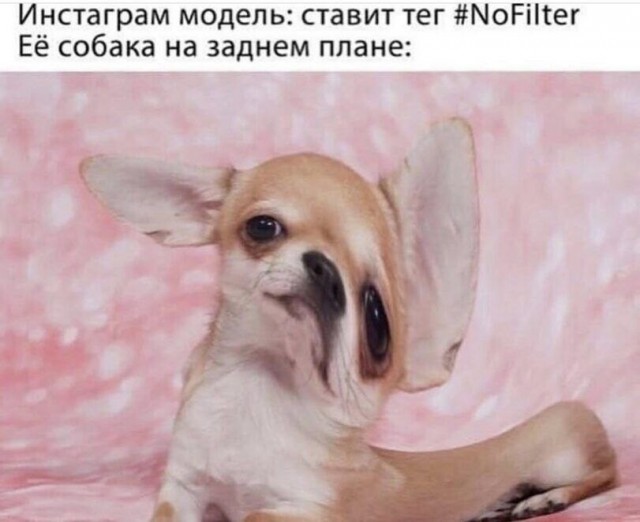 Юмор в картинках и без 09.05.2023