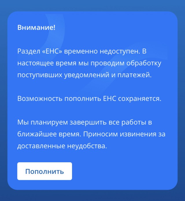 После Лерчек и Блиновской налоговая взялась за Алсу