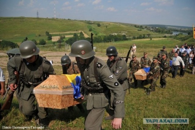 В Григоровке Одесской области спасли собаку, которая приплыла на досках