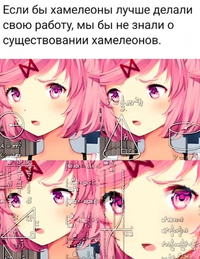 Нуштош 11.09.2023