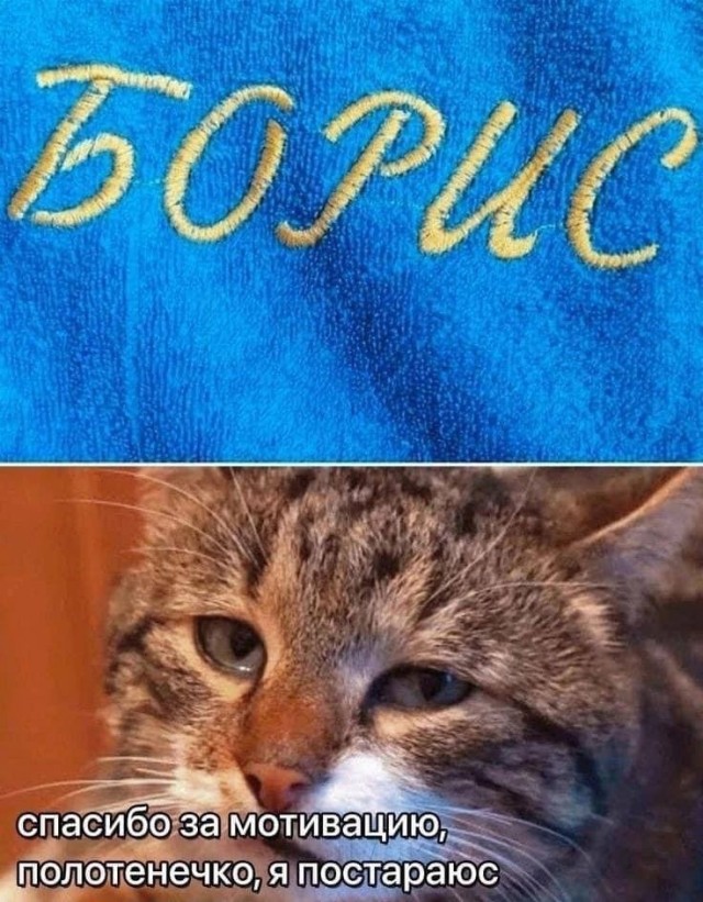 Приколы с налетом деградации
