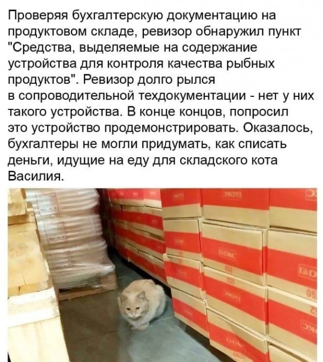 Чуток картинок 10.02.24
