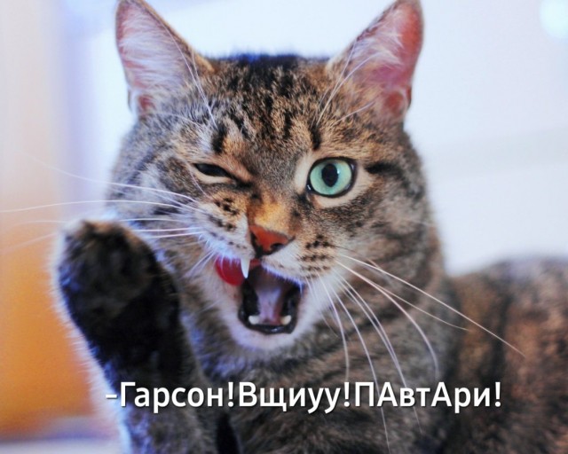 Ваш заказ. 3 порции