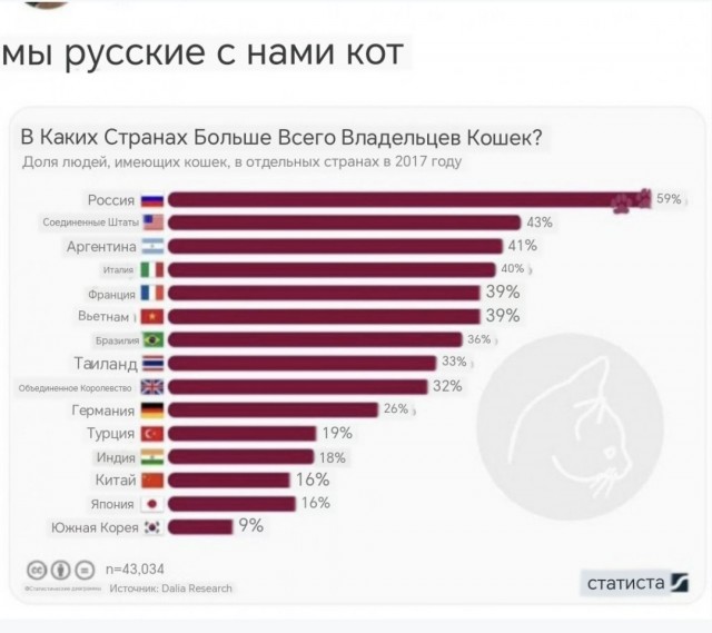 Россию сочли самой кошачьей страной мира