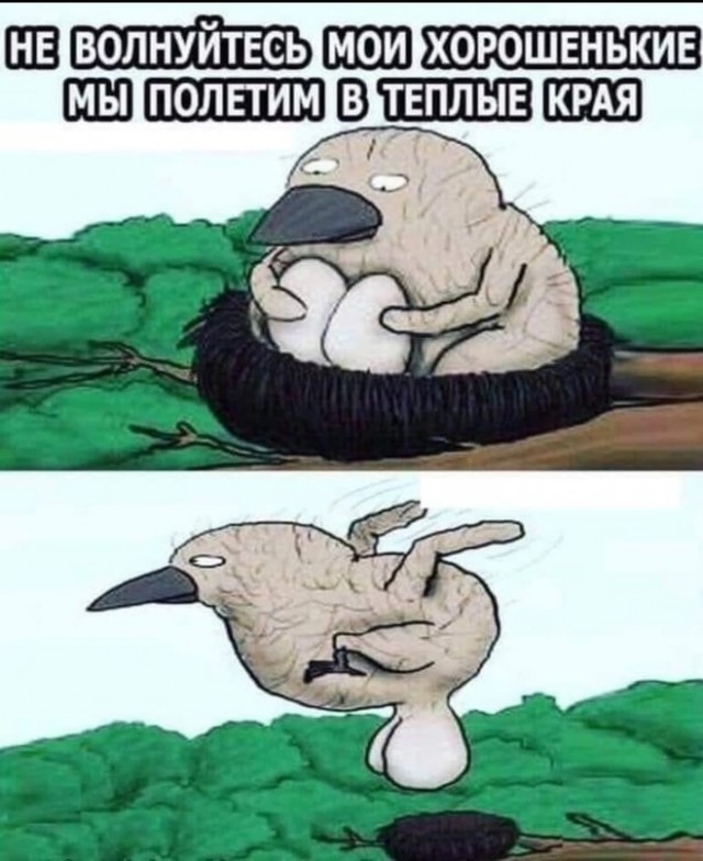 Не очень адекватный юмор