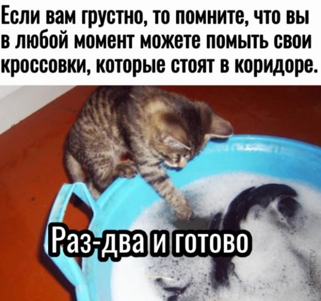 Немного забавных картинок 27.07.24