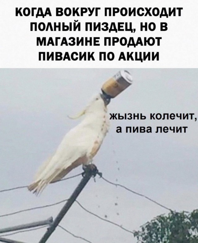 Картинки разные с надписями и без