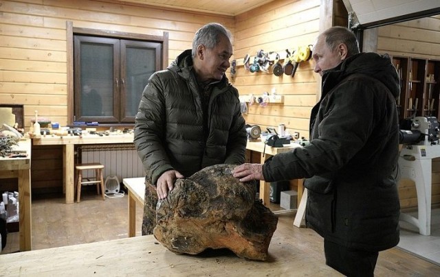 Путин удивился закупке Россией изделий из древесины за границей