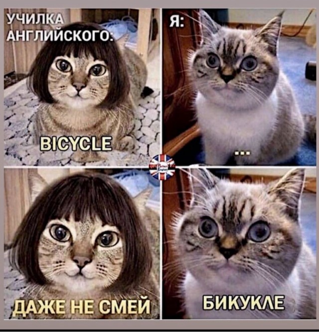 Завалялось тут случайно немного забавных картинок