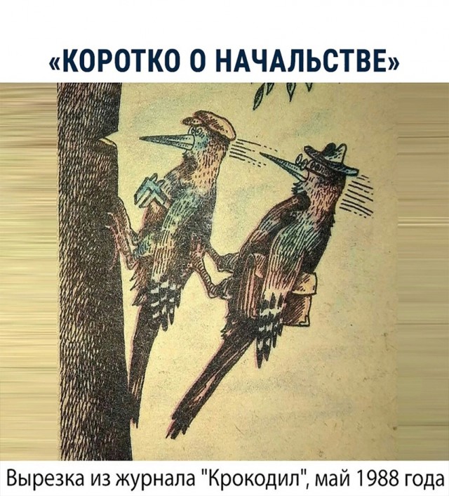 Так себе картинки 12.02.25